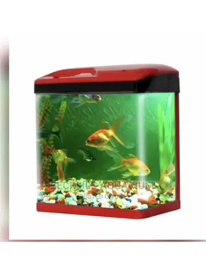 Aquariums and Accessories