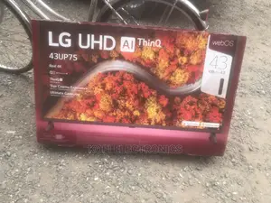 Thinq AI and Magic Remote LG 43UP7550PVG 43 Inches Webos