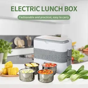 Elctric Lunch Box