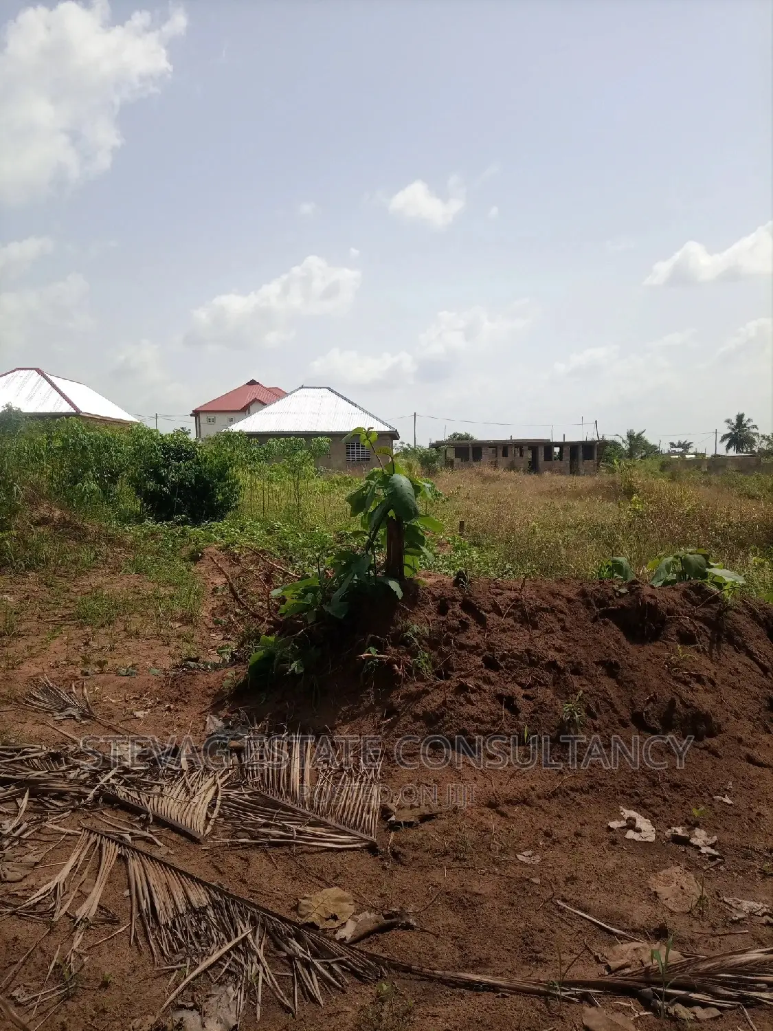 Alpha Properties Estate Land for Sale at Nsawam Ayibontey