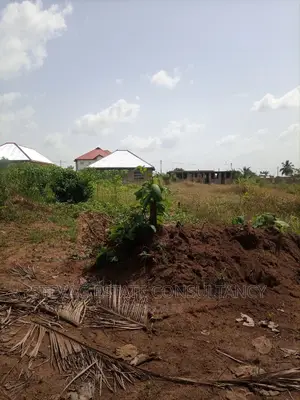 Alpha Properties Estate Land for Sale at Nsawam Ayibontey