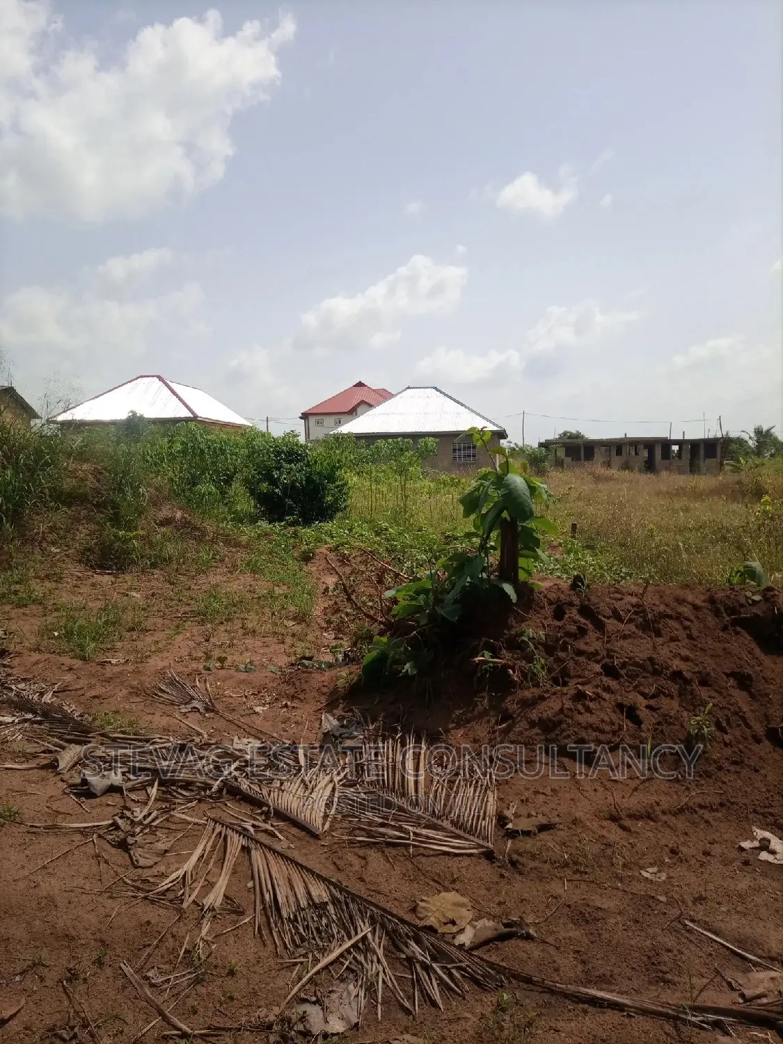 Alpha Properties Estate Land for Sale at Nsawam Ayibontey