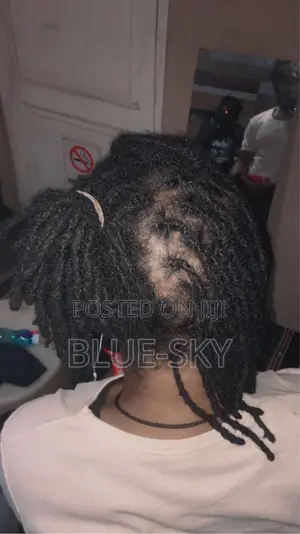 Interlocking An Dressing Dreadlocks With No Blade Only Pin