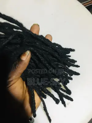 Interlocking An Dressing Dreadlocks With No Blade Only Pin