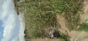 Plot of Land at Durban Newsite Is on Sales