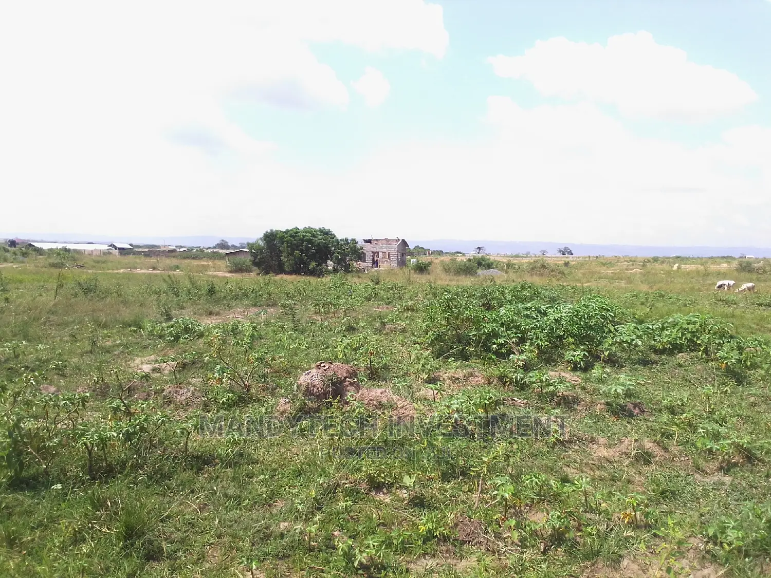 Genuine Land At Appolonia