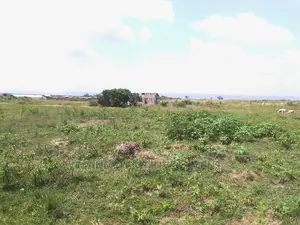 Genuine Land At Appolonia