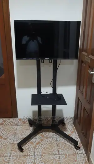 TV Stand (Plasma and Projector)