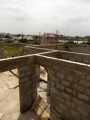 Professional Carpenter With Plywood, Board Etc