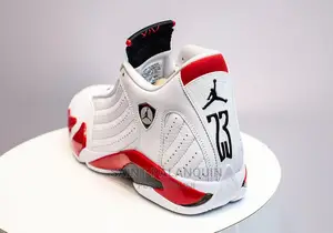 Air Jordan 14