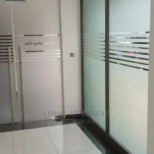 Tinting Windows
