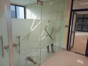 Tinting Windows