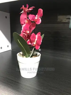 Nice Flower