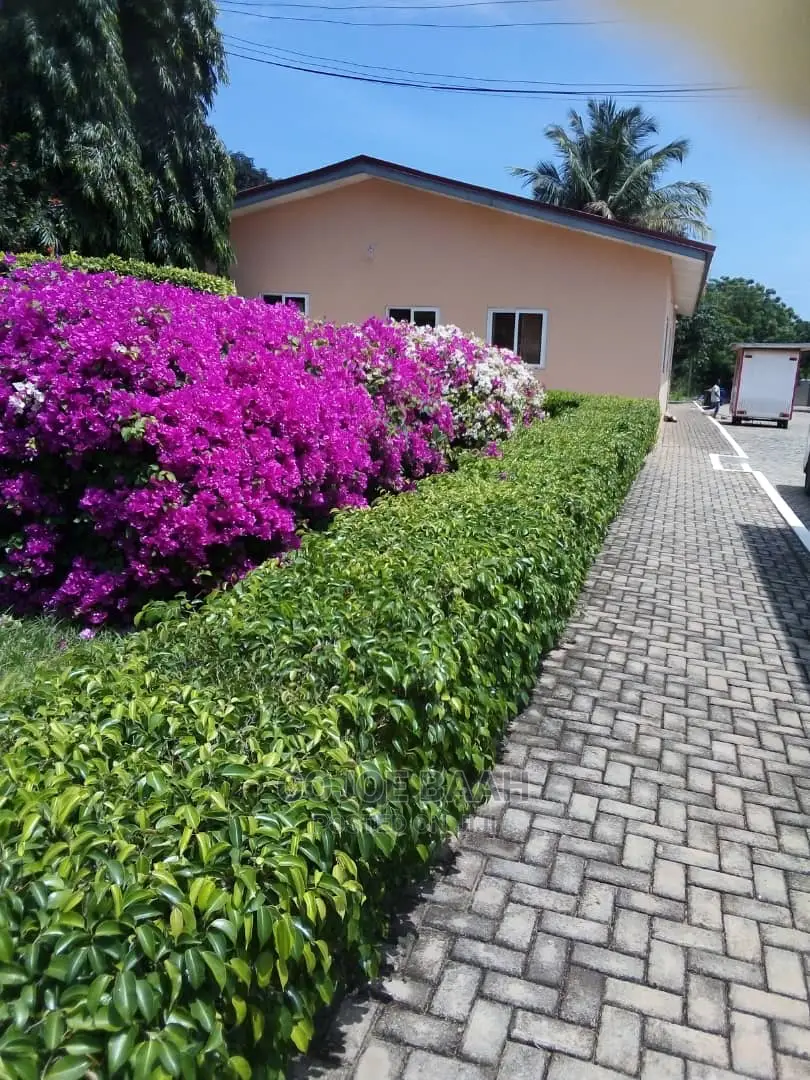 Garden and Landscape