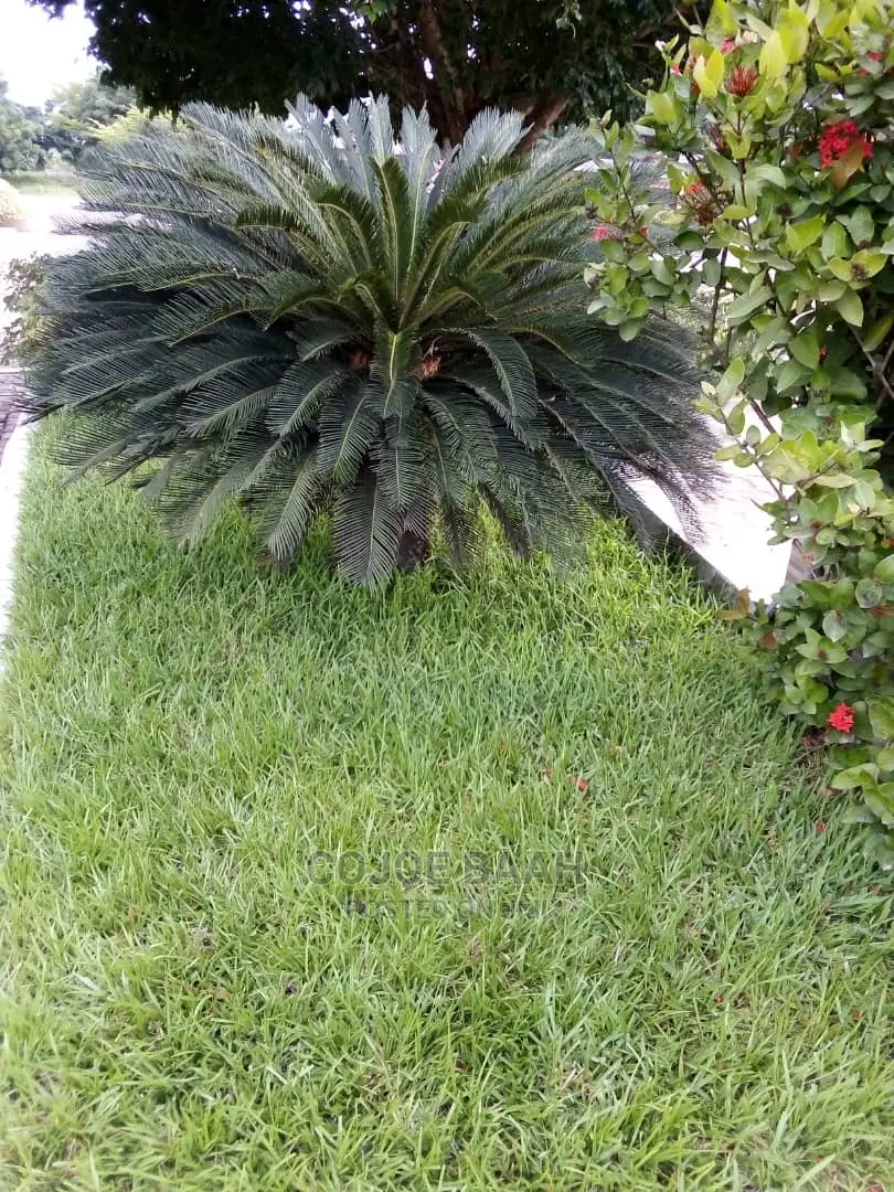 Garden and Landscape