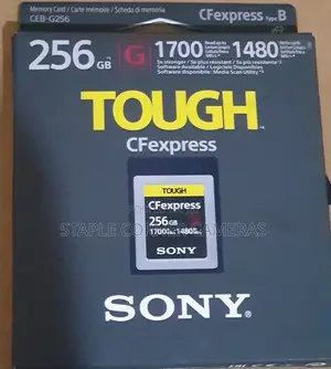 Sony Cfexpress 256GB TYPE B Memory Card