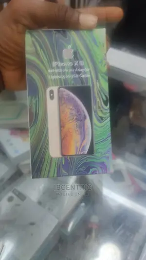 iPhone X Charger