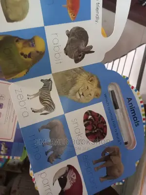 Learn to Write First Words