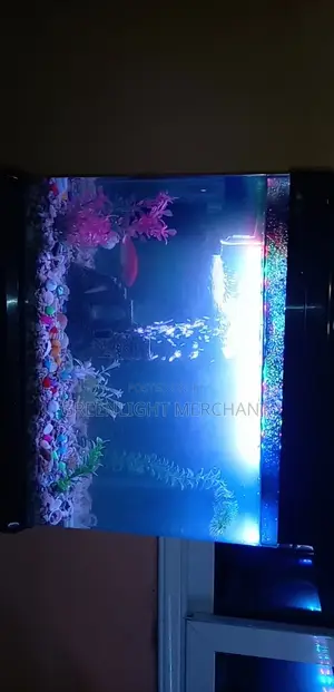 Beautiful Aquariums