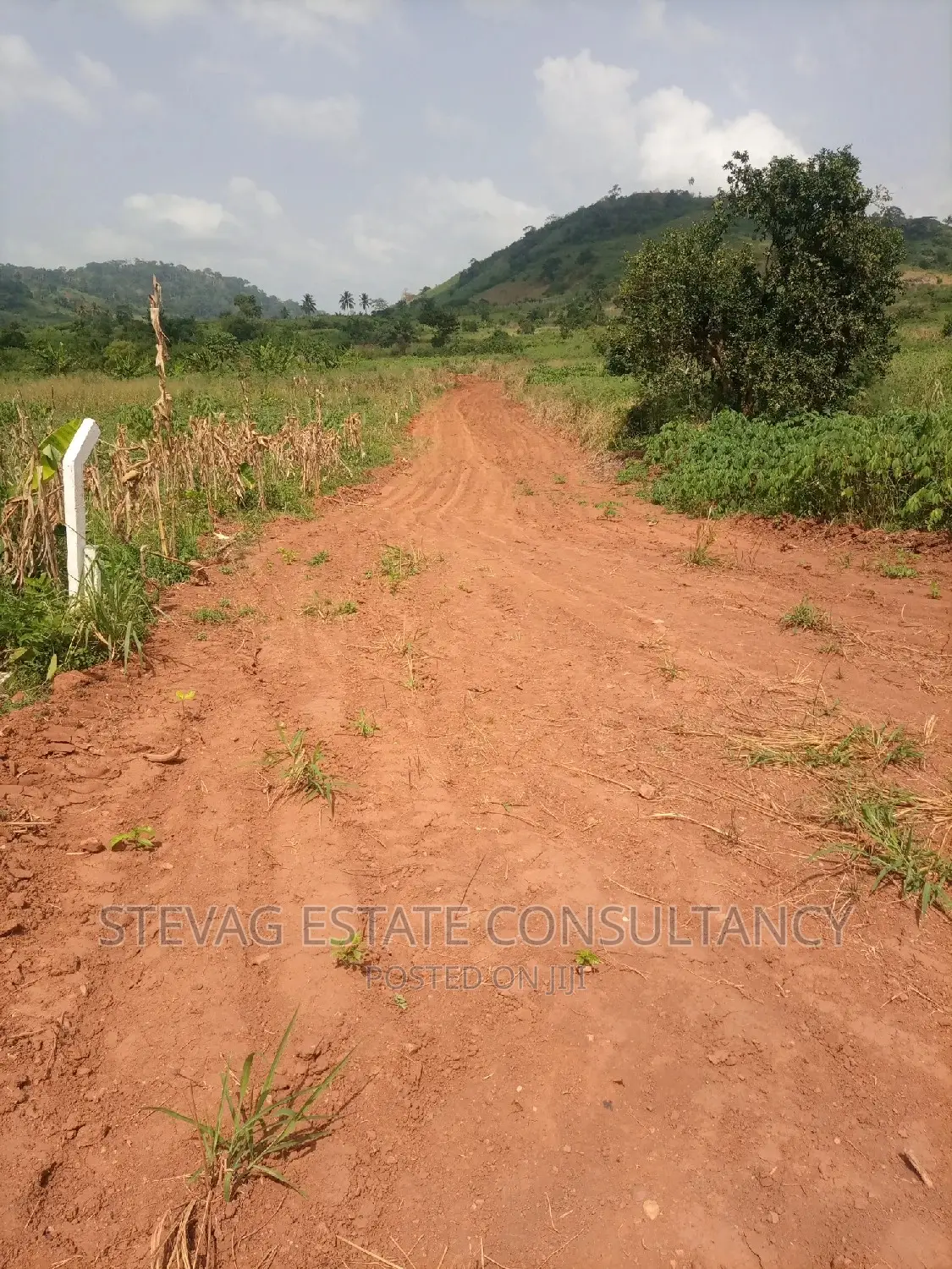 An Estate Main Road Land at Nsawam Ayibontey 4sale