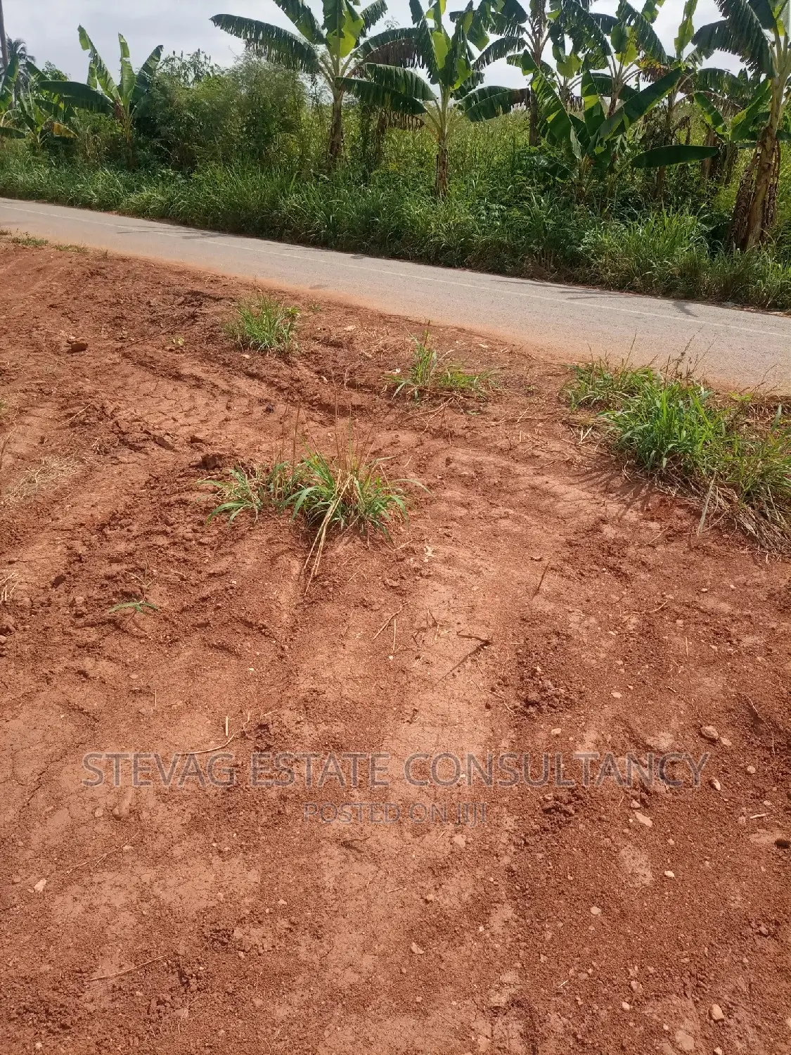 An Estate Main Road Land at Nsawam Ayibontey 4sale