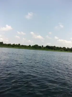 Farm Land for Long Lease