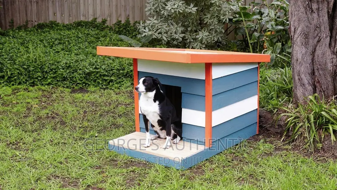 Dog Kernel For Sale