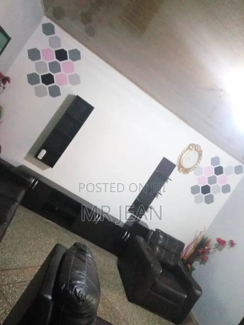 Professional Painter and Wallpaper Installer
