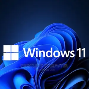 Windows 11 Pro