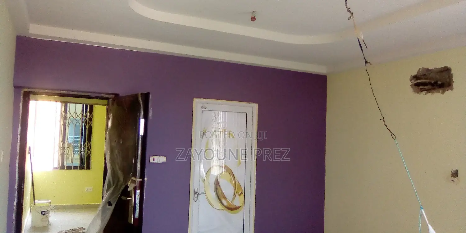 Professional Painters