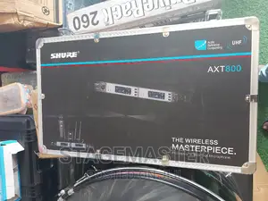 Shure 2 in 1 Mic ( Axt 800)