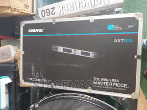 Shure 2 in 1 Mic ( Axt 800)
