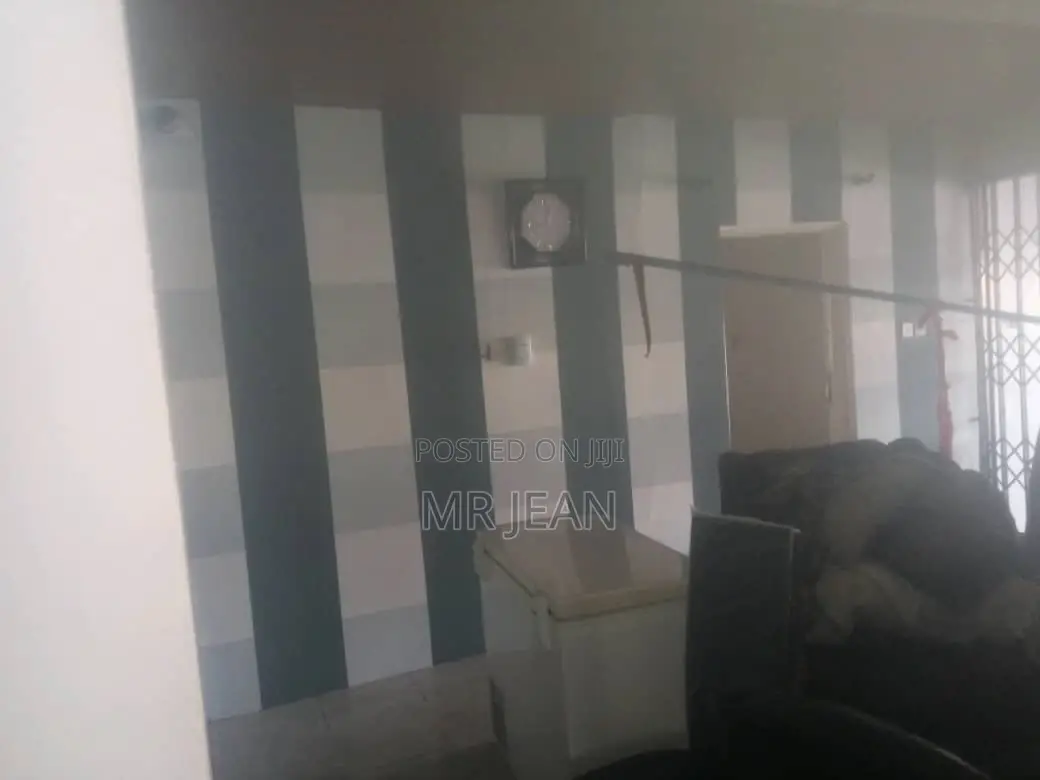 Professional Painter and Wallpaper Installer