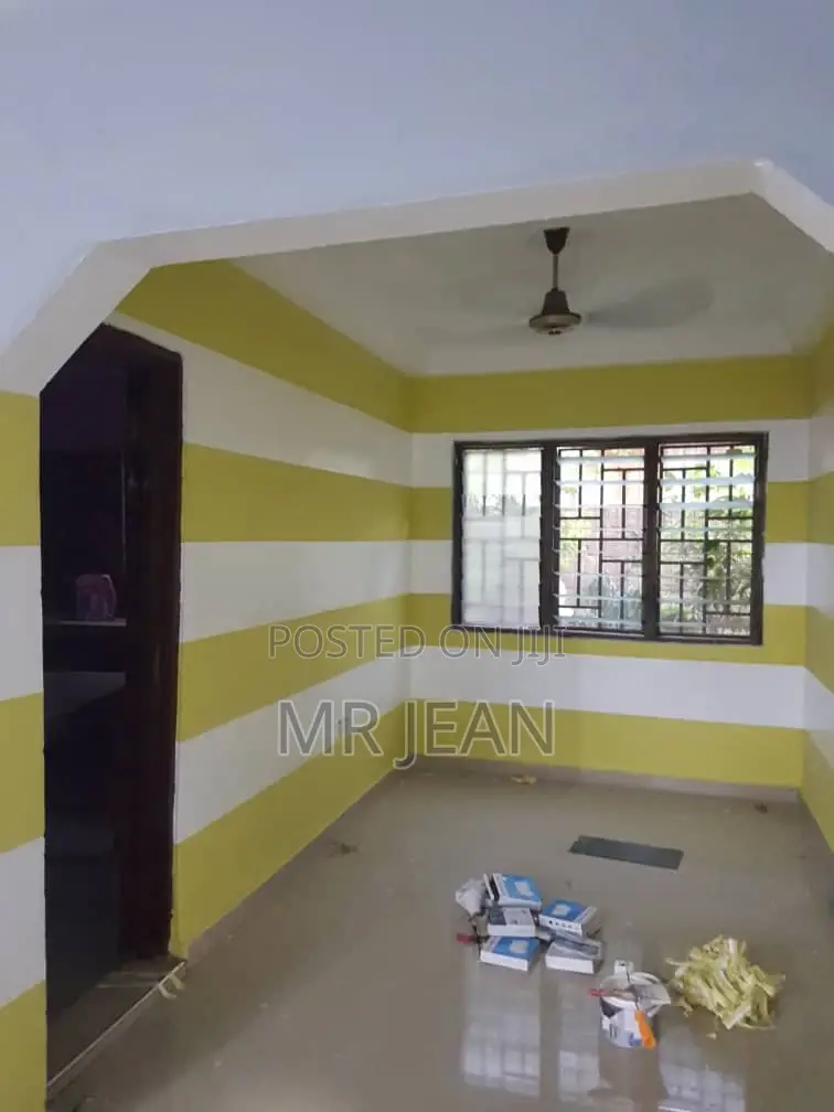 Professional Painter and Wallpaper Installer