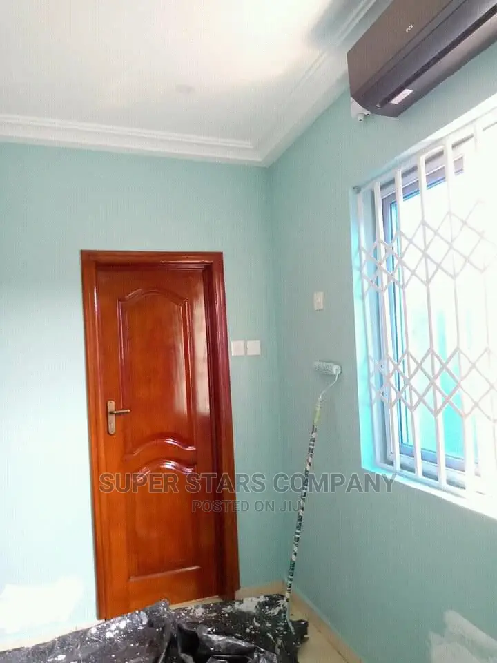 Professional Painter