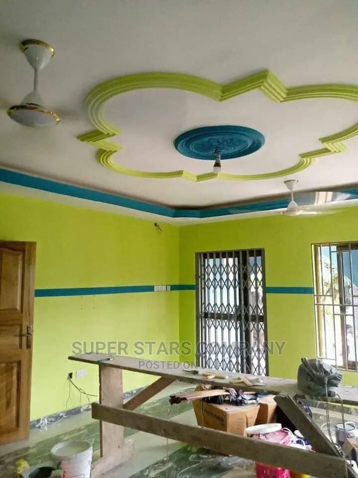 Professional Painter