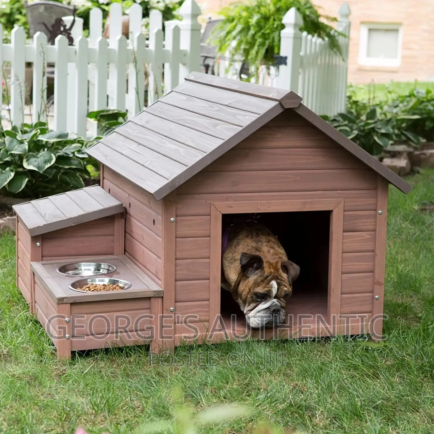 Dog Kernel For Sale