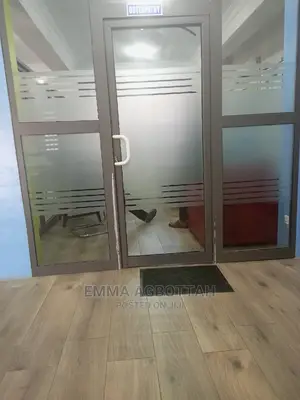 Tint Windows