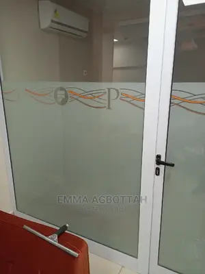Tint Windows