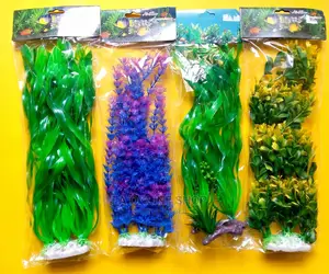 Aquarium Plants