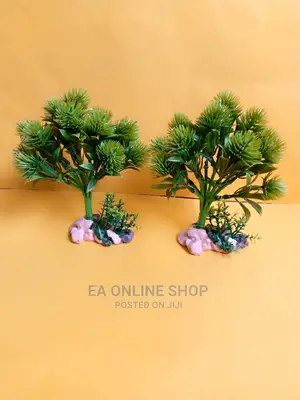 Aquarium Plants 20 Cm