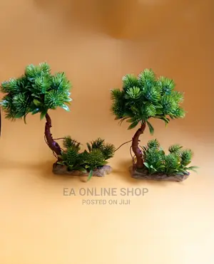 Aquarium Plants