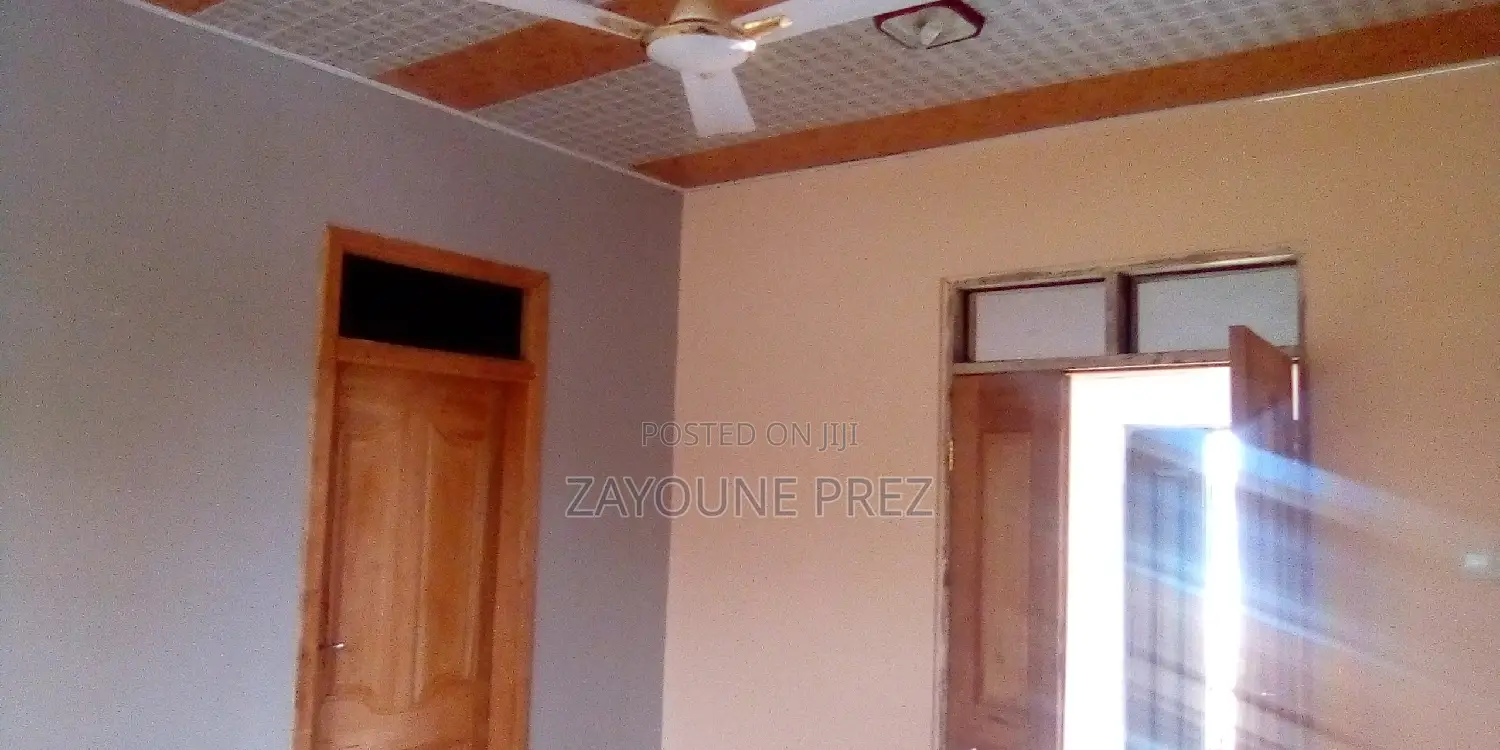 Professional Painters