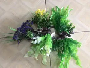 Aquarium Plants N Accessories