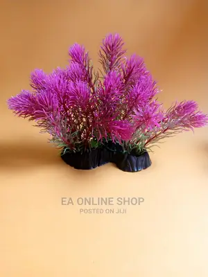 Aquarium Plants 20 Cm