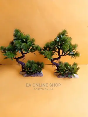 Aquarium Plants