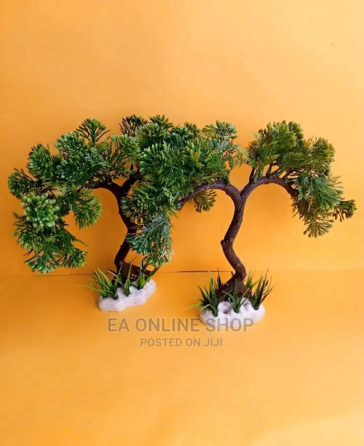 Aquarium Plants