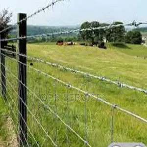 Galvanized Barb Wire