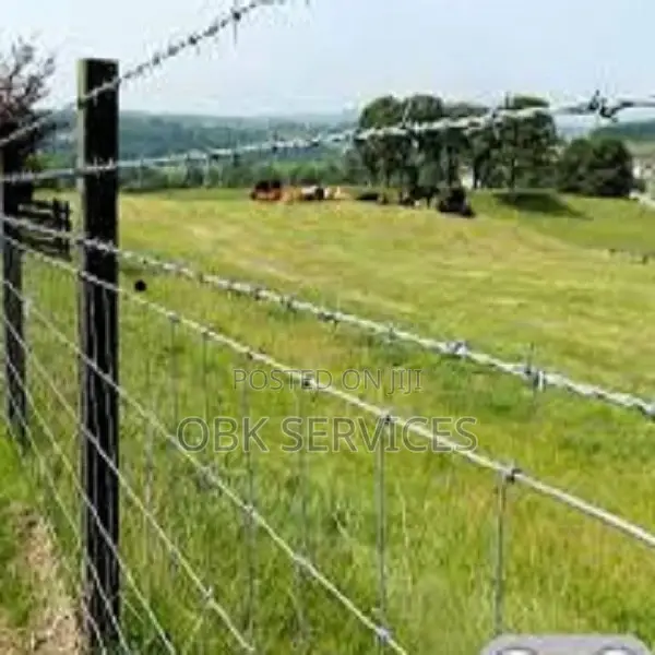 Galvanized Barb Wire