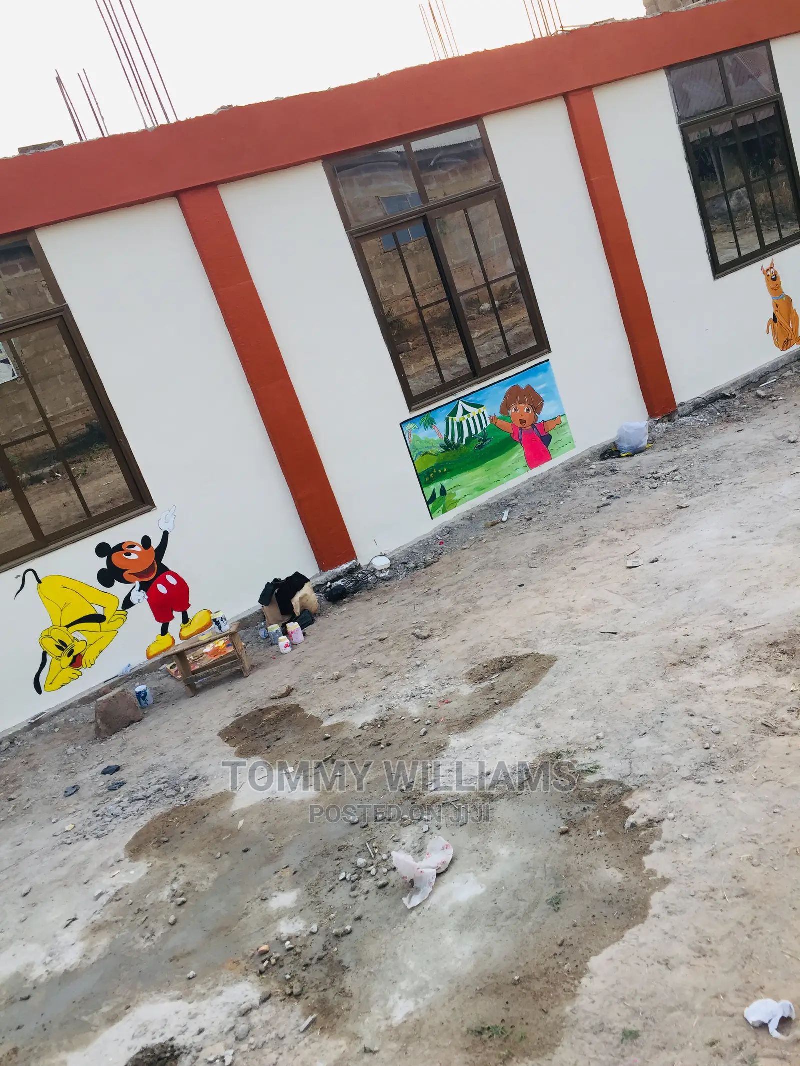 Professional Painting and Room Art Works